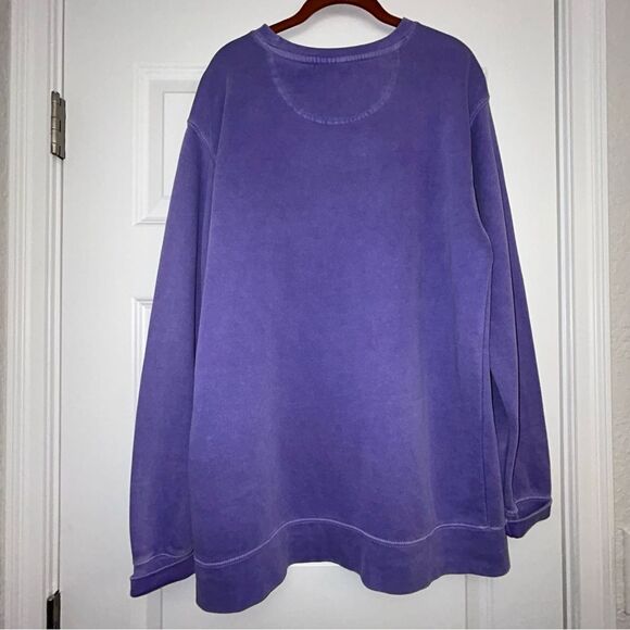 Comfort Colors Vikes Graphic Print Long Sleeve Oversized Sweatshirt - Picture 6 of 7